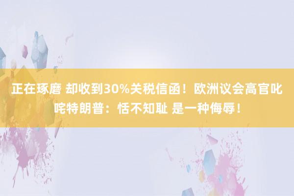 正在琢磨 却收到30%关税信函！欧洲议会高官叱咤特朗普：恬不知耻 是一种侮辱！