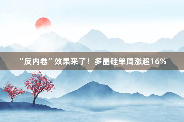 “反内卷”效果来了！多晶硅单周涨超16%
