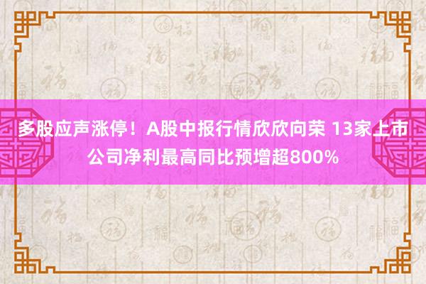 多股应声涨停！A股中报行情欣欣向荣 13家上市公司净利最高同比预增超800%
