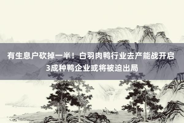 有生息户砍掉一半！白羽肉鸭行业去产能战开启 3成种鸭企业或将被迫出局