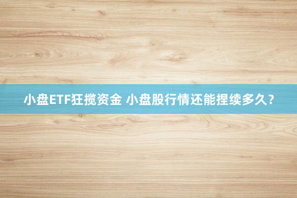 小盘ETF狂揽资金 小盘股行情还能捏续多久？