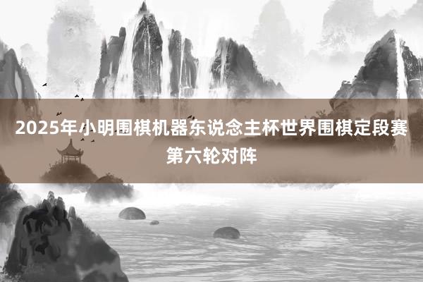 2025年小明围棋机器东说念主杯世界围棋定段赛第六轮对阵