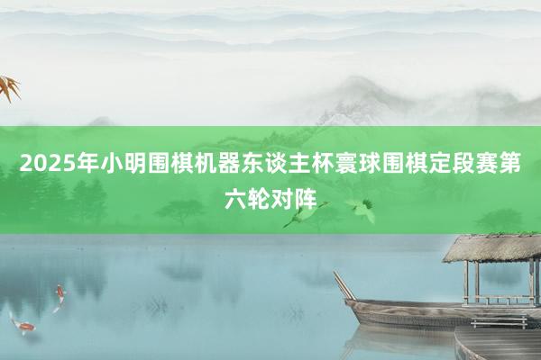 2025年小明围棋机器东谈主杯寰球围棋定段赛第六轮对阵