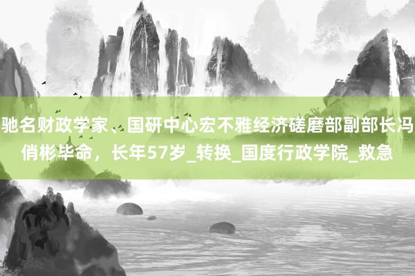 驰名财政学家、国研中心宏不雅经济磋磨部副部长冯俏彬毕命，长年57岁_转换_国度行政学院_救急