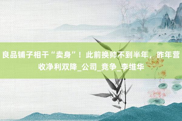 良品铺子相干“卖身”！此前换帅不到半年，昨年营收净利双降_公司_竞争_李维华