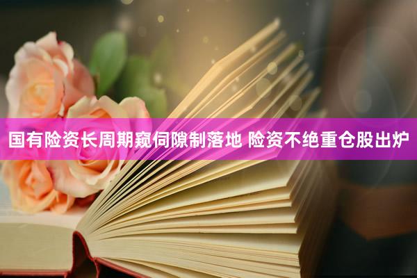 国有险资长周期窥伺隙制落地 险资不绝重仓股出炉