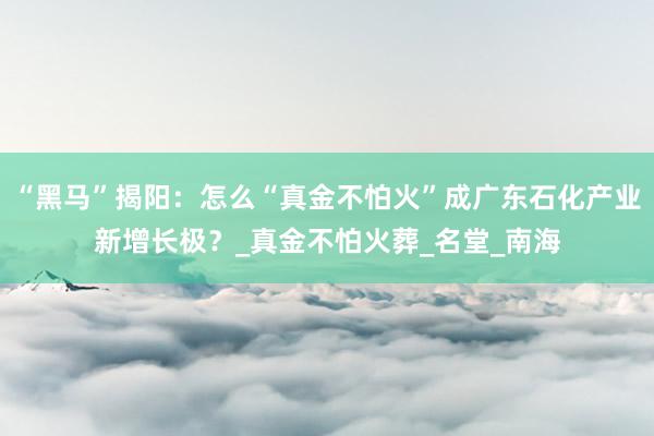 “黑马”揭阳：怎么“真金不怕火”成广东石化产业新增长极？_真金不怕火葬_名堂_南海