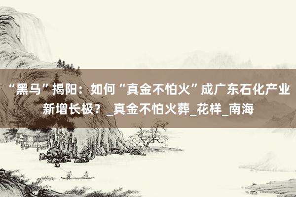 “黑马”揭阳：如何“真金不怕火”成广东石化产业新增长极？_真金不怕火葬_花样_南海