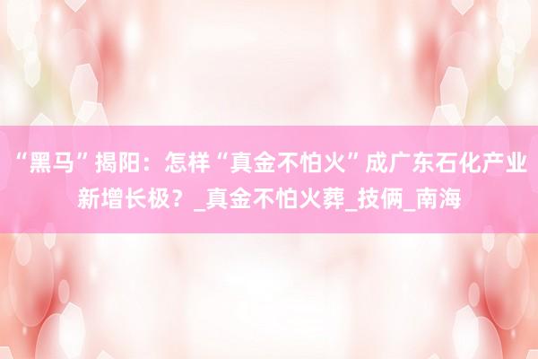 “黑马”揭阳：怎样“真金不怕火”成广东石化产业新增长极？_真金不怕火葬_技俩_南海