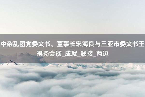 中杂乱团党委文书、董事长宋海良与三亚市委文书王祺扬会谈_成就_联接_两边