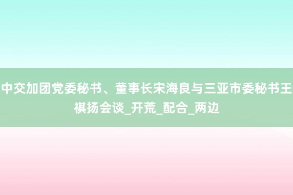 中交加团党委秘书、董事长宋海良与三亚市委秘书王祺扬会谈_开荒_配合_两边