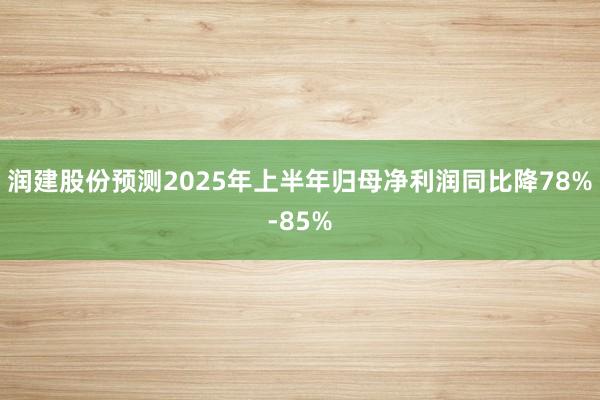 润建股份预测2025年上半年归母净利润同比降78%-85%