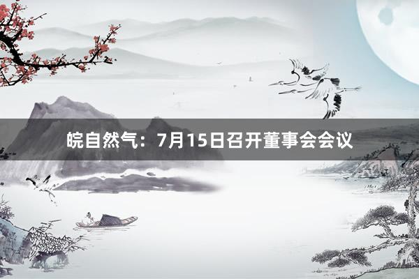 皖自然气：7月15日召开董事会会议