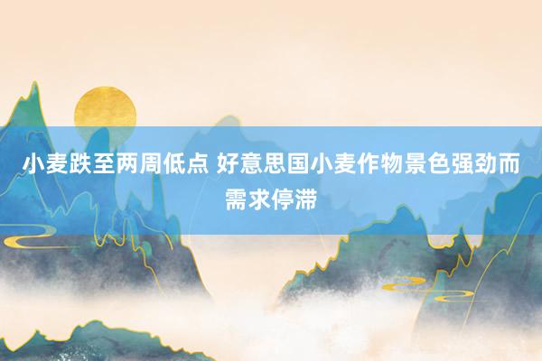 小麦跌至两周低点 好意思国小麦作物景色强劲而需求停滞