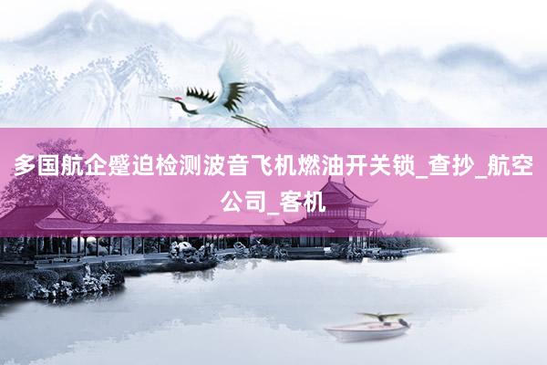 多国航企蹙迫检测波音飞机燃油开关锁_查抄_航空公司_客机