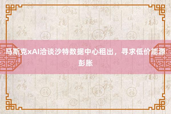 马斯克xAI洽谈沙特数据中心租出，寻求低价能源彭胀