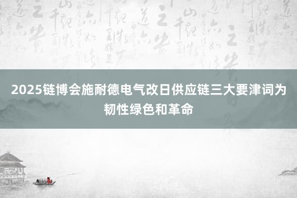 2025链博会施耐德电气改日供应链三大要津词为韧性绿色和革命