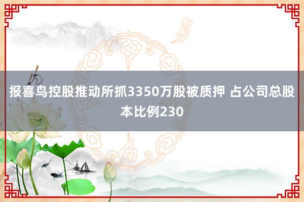 报喜鸟控股推动所抓3350万股被质押 占公司总股本比例230
