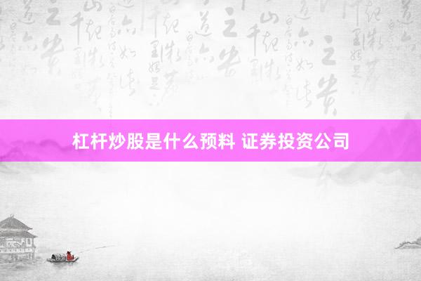 杠杆炒股是什么预料 证券投资公司