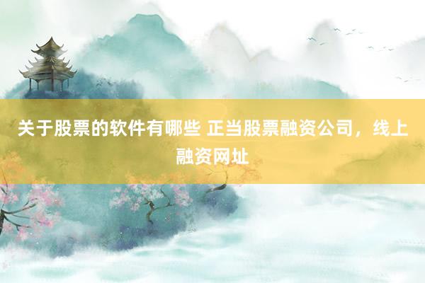关于股票的软件有哪些 正当股票融资公司，线上融资网址