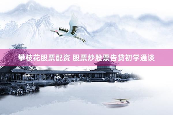 攀枝花股票配资 股票炒股票告贷初学通谈
