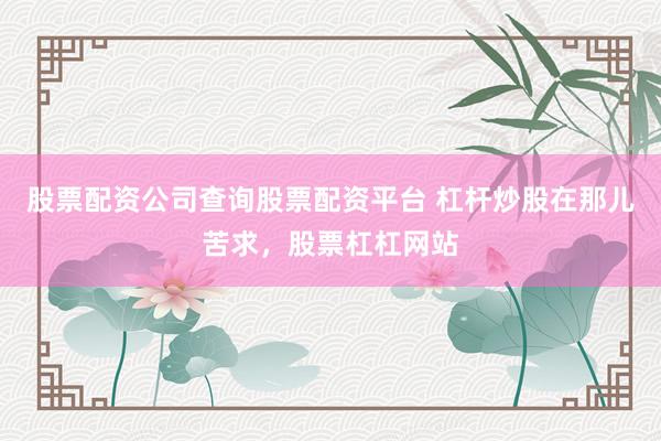 股票配资公司查询股票配资平台 杠杆炒股在那儿苦求，股票杠杠网站