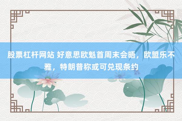 股票杠杆网站 好意思欧魁首周末会晤，欧盟乐不雅，特朗普称或可兑现条约