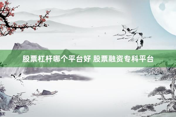股票杠杆哪个平台好 股票融资专科平台