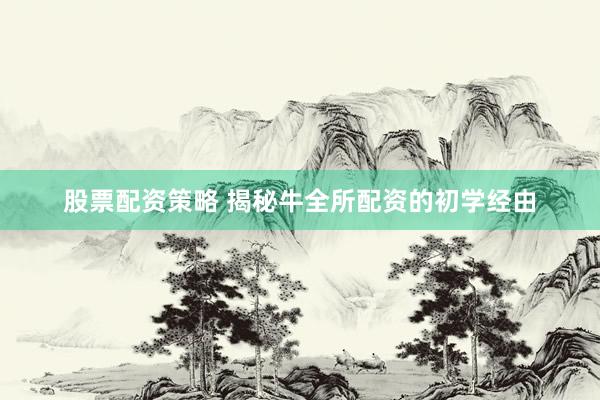 股票配资策略 揭秘牛全所配资的初学经由