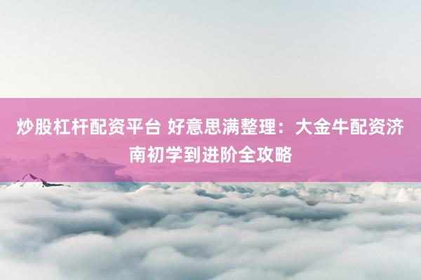 炒股杠杆配资平台 好意思满整理：大金牛配资济南初学到进阶全攻略