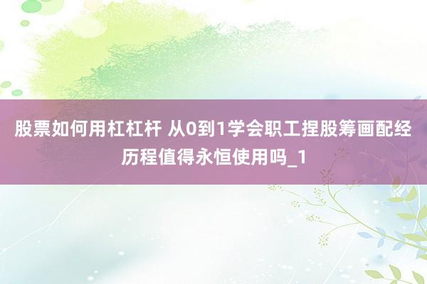股票如何用杠杠杆 从0到1学会职工捏股筹画配经历程值得永恒使用吗_1
