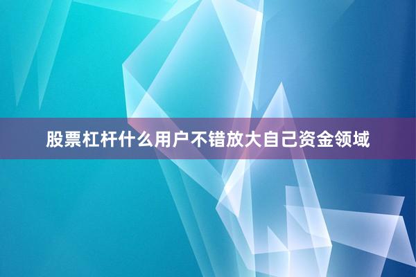 股票杠杆什么用户不错放大自己资金领域