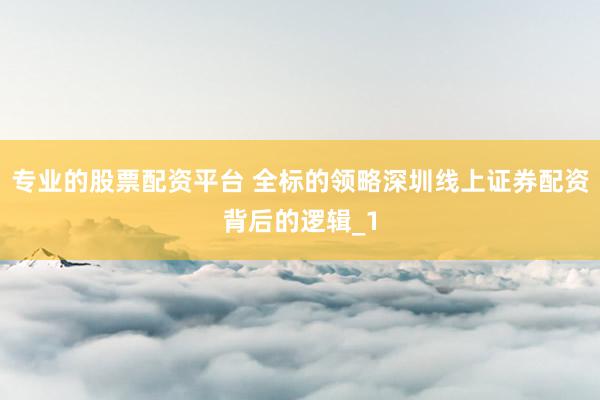 专业的股票配资平台 全标的领略深圳线上证券配资背后的逻辑_1