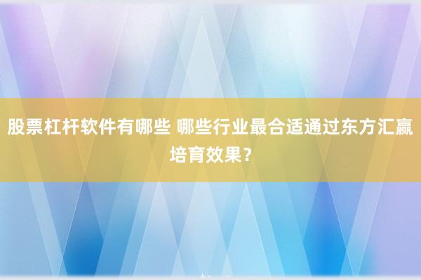 股票杠杆软件有哪些 哪些行业最合适通过东方汇赢培育效果？