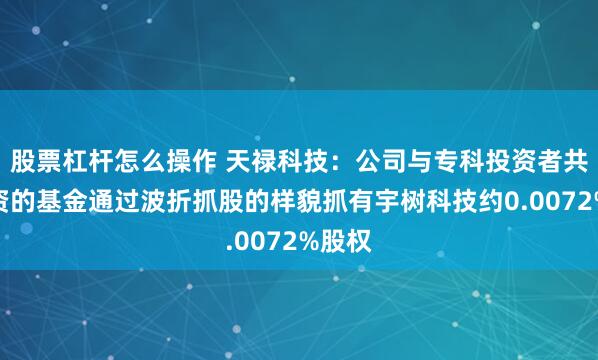 股票杠杆怎么操作 天禄科技：公司与专科投资者共同投资的基金通过波折抓股的样貌抓有宇树科技约0.0072%股权